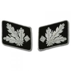 SS Officer Bullion Collar Tabs - Gruppenfuhrer